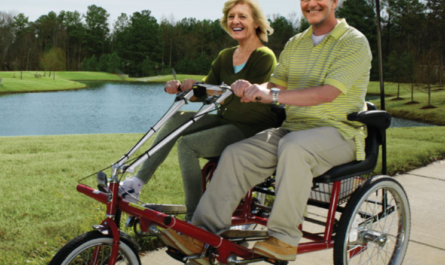 Electric Trike for Adults